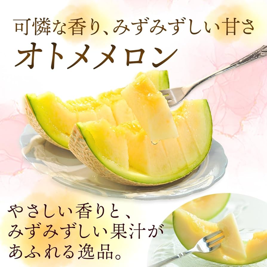 Amazon.co.jp: メロン 訳あり 茨城県産 2kg (2玉) 家庭用 茨城産